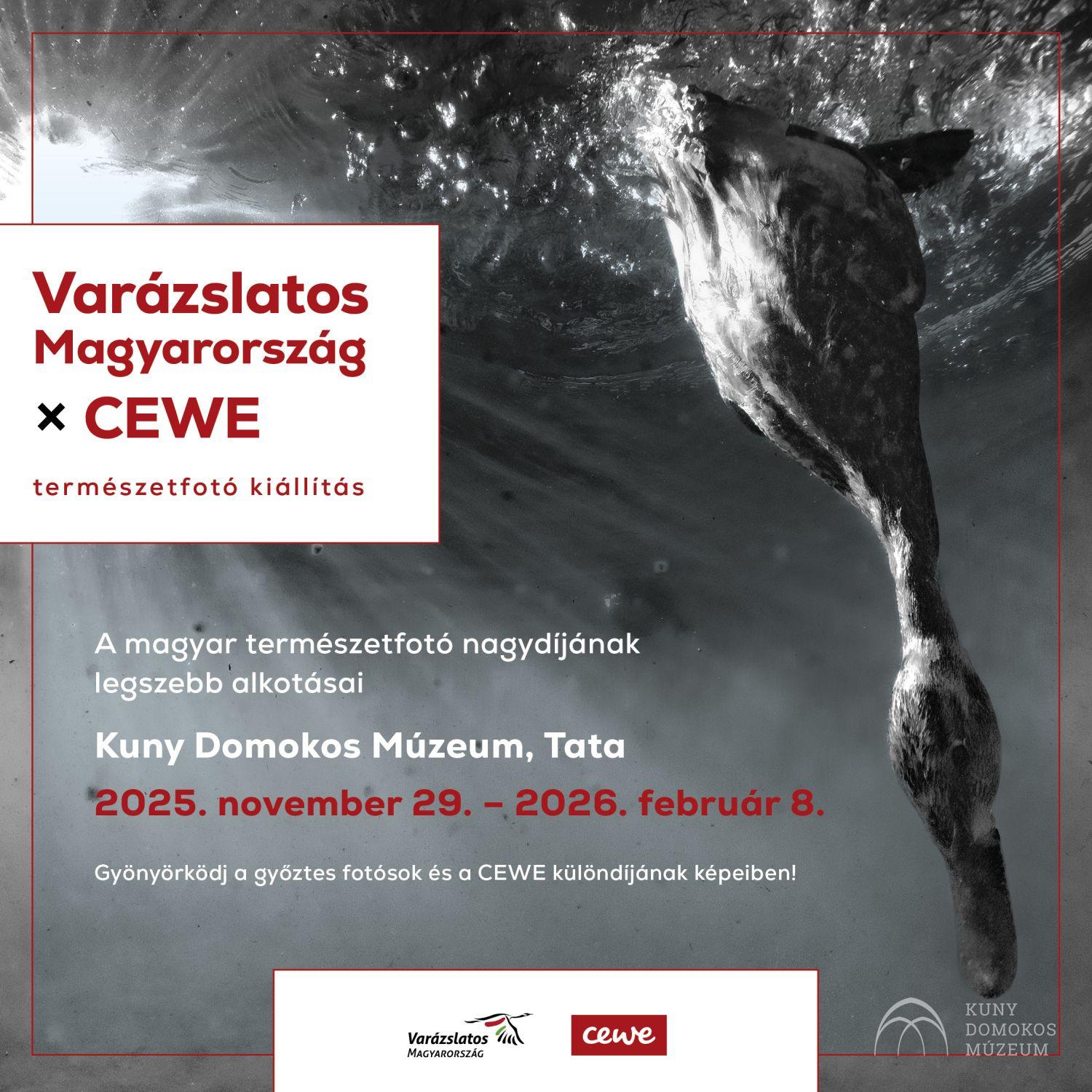 VM_2025_CEWE_1080x1080px_Tata2 (1)