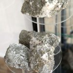IMG_9563