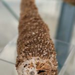 IMG_9566