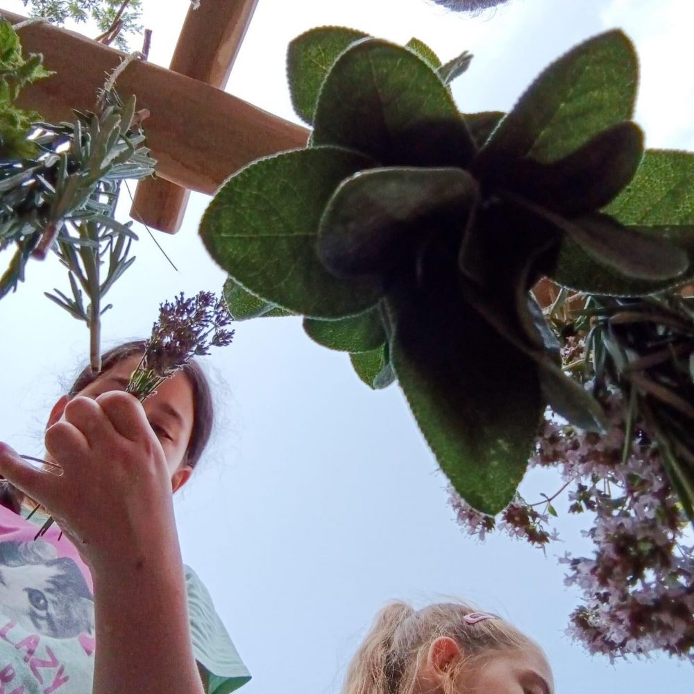 449753320_1387297705544361_2602032383839014352_n