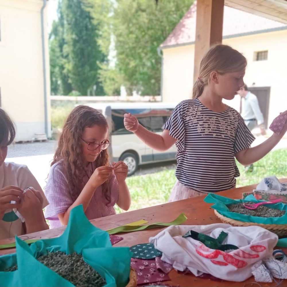 449949543_1387297778877687_8016545968896700510_n