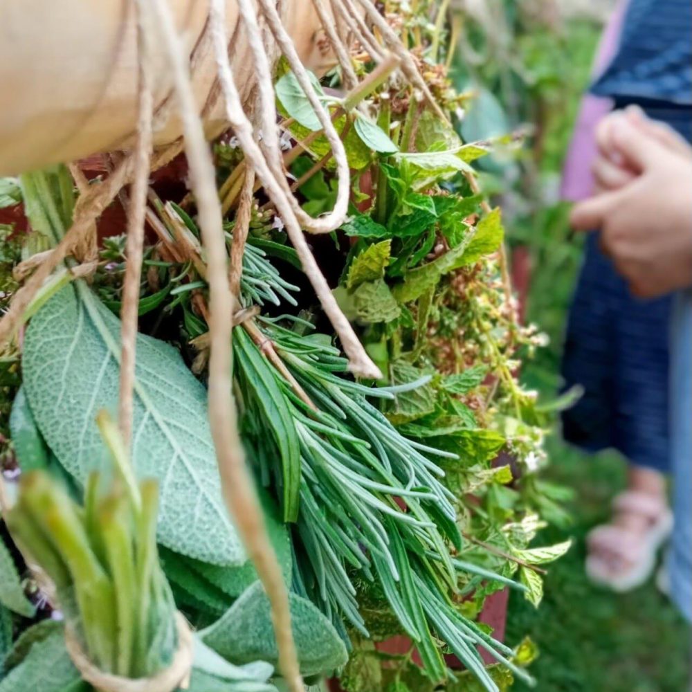 449999223_1387297668877698_711552813429642954_n