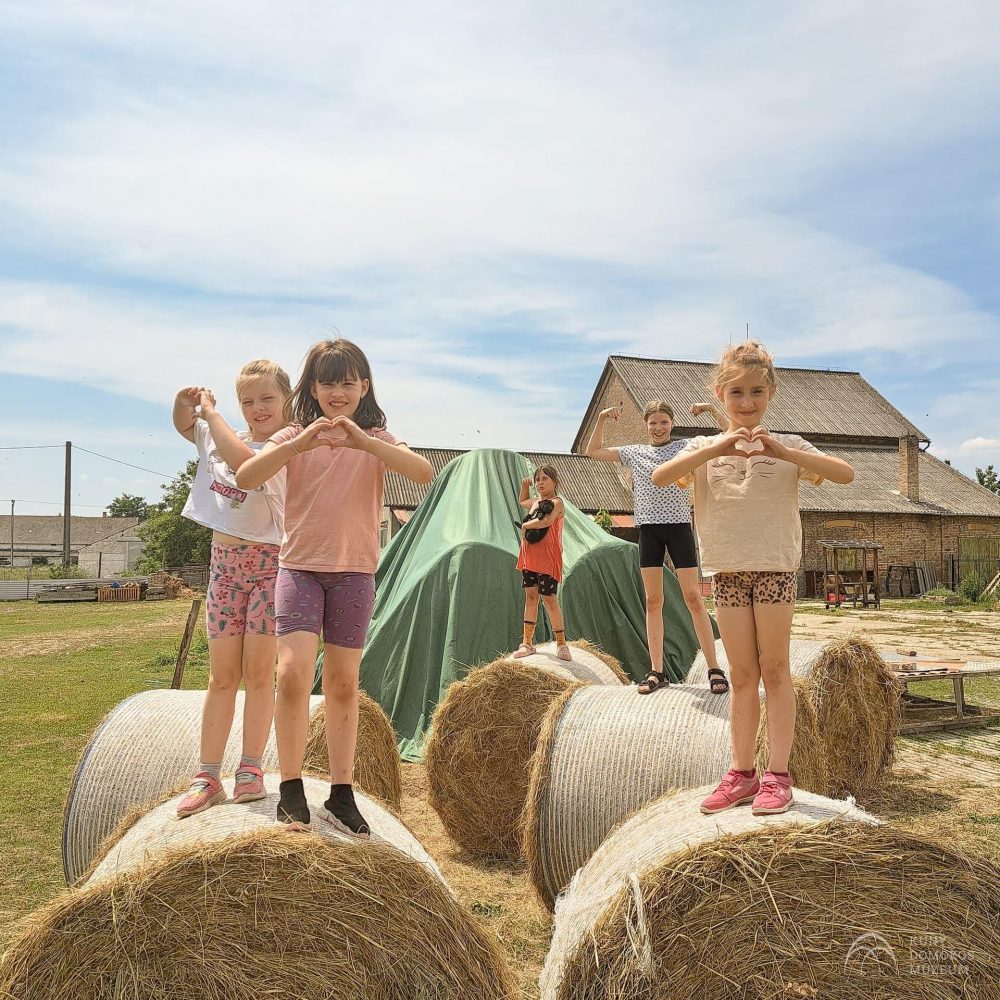 450066808_1387297115544420_9146545864429214711_n