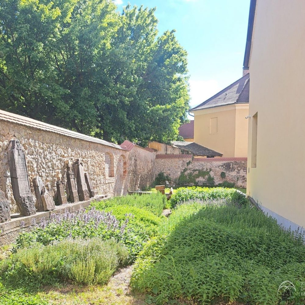 450666499_1062200295350324_2580962869637835077_n