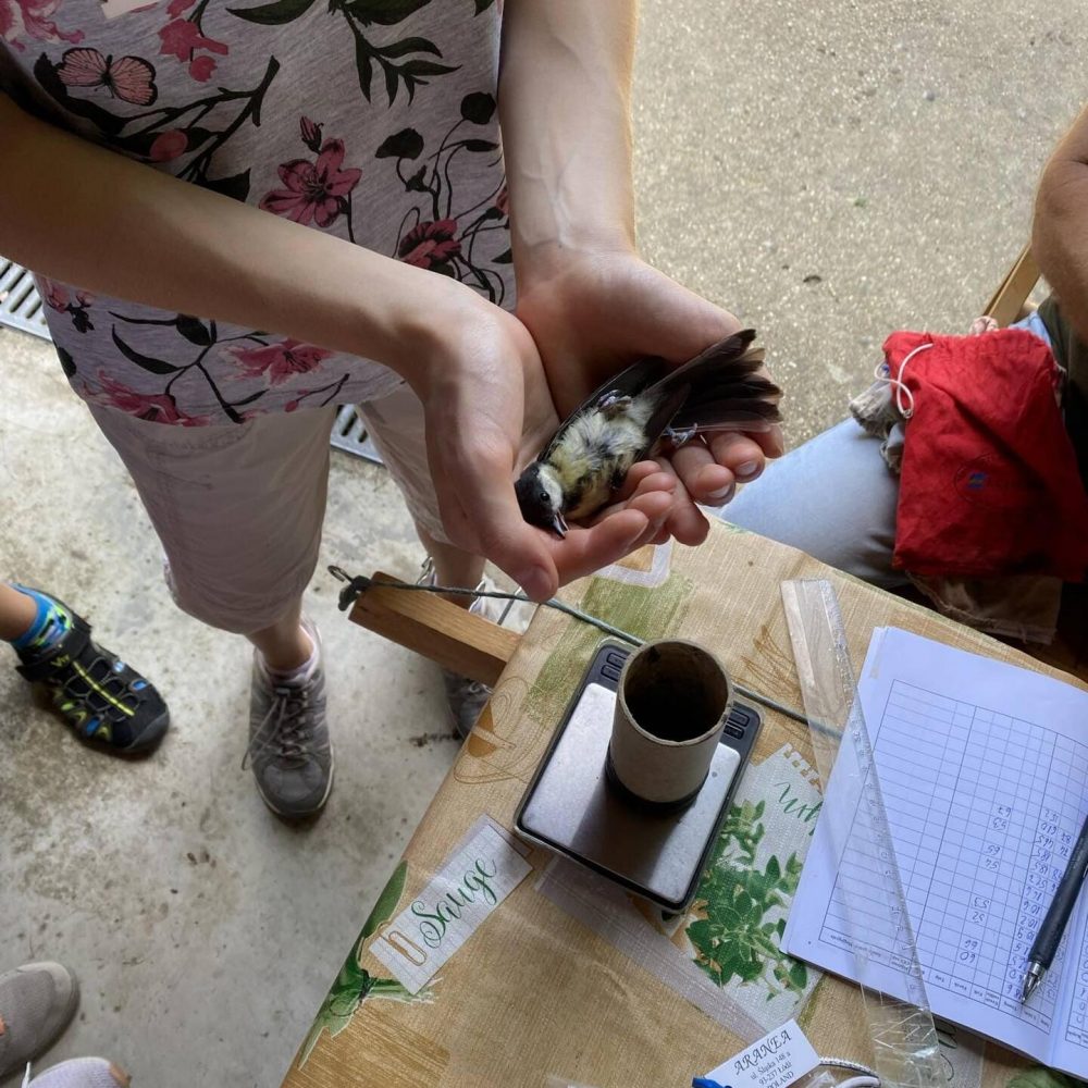 450728250_1062108688692818_8074759406490529587_n