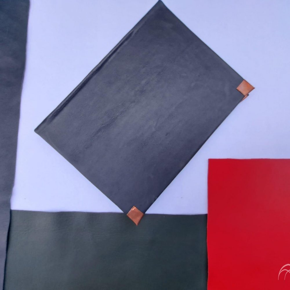 450763003_1062769098626777_2849615830313096969_n