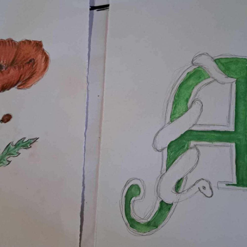 450850549_1062849045285449_7026637430779182779_n