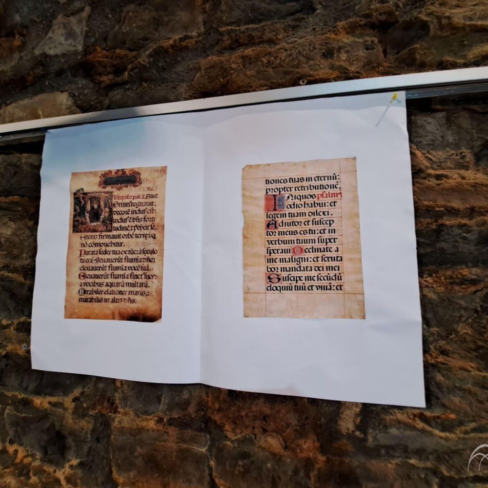 450863730_1062768921960128_6570031405931478840_n