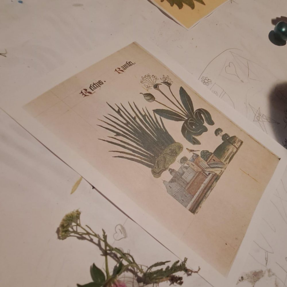 450871948_1062118138691873_3896562573237449435_n