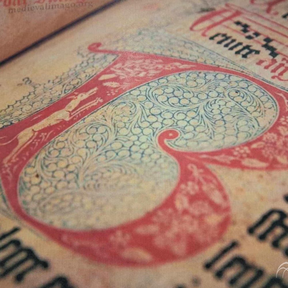 451086178_1062848995285454_7430818268375961895_n