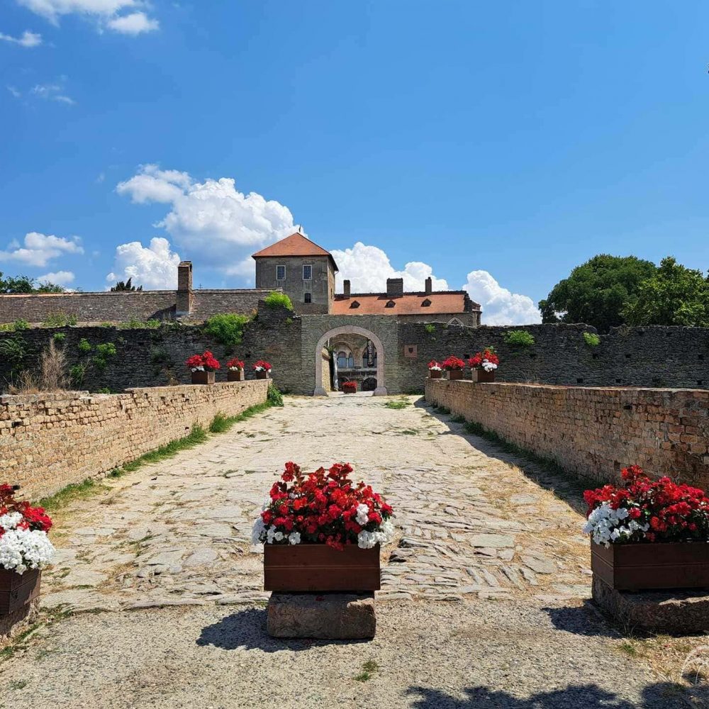 452229692_1068273181409702_4850783422719146398_n